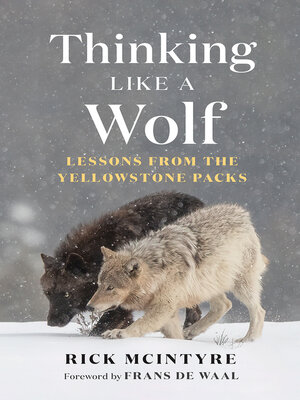 cover image of Thinking Like a Wolf